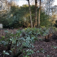 SNTV Ickworth 2019-02-03 15