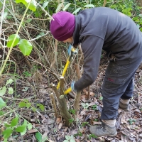 SNTV Ickworth 2019-02-03 17