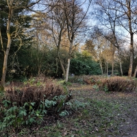 SNTV Ickworth 2019-02-03 18