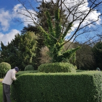 SNTV Ickworth 2019-03-17 01