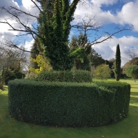 SNTV Ickworth 2019-03-17 02