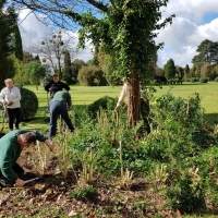 SNTV Ickworth 2019-03-17 04