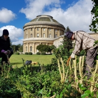 SNTV Ickworth 2019-03-17 06
