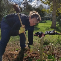 SNTV Ickworth 2019-03-17 08
