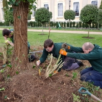SNTV Ickworth 2019-03-17 09