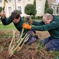 SNTV Ickworth 2019-03-17 10