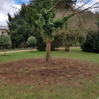 SNTV Ickworth 2019-03-17 11