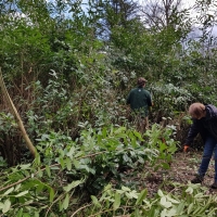 SNTV Ickworth 2019-03-17 13