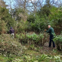SNTV Ickworth 2019-03-17 14