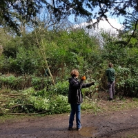 SNTV Ickworth 2019-03-17 15