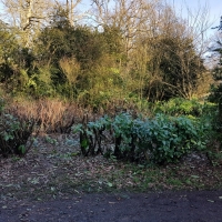 SNTV Ickworth 2019-03-17 17