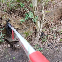 SNTV Danbury Common 2019-04-28 11
