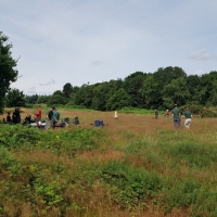 SNTV Dawns Covert 2019-07-21 01