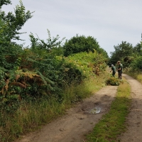 SNTV Dawns Covert 2019-07-21 04
