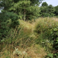 SNTV Dawns Covert 2019-07-21 05