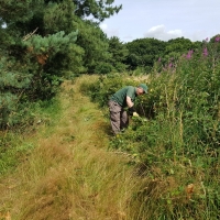 SNTV Dawns Covert 2019-07-21 06