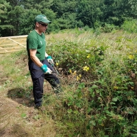 SNTV Dawns Covert 2019-07-21 07