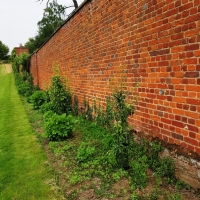SNTV Ickworth 2019-06-23 01