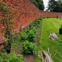 SNTV Ickworth 2019-06-23 02