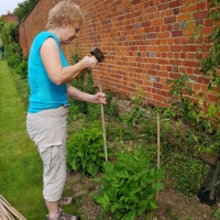SNTV Ickworth 2019-06-23 04