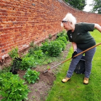 SNTV Ickworth 2019-06-23 05