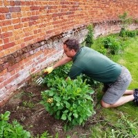SNTV Ickworth 2019-06-23 06