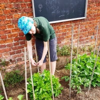 SNTV Ickworth 2019-06-23 08