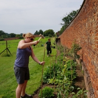 SNTV Ickworth 2019-06-23 12