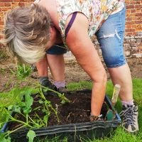 SNTV Ickworth 2019-06-23 13