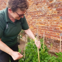SNTV Ickworth 2019-06-23 14