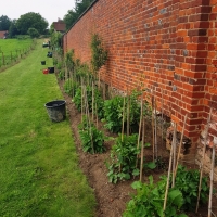 SNTV Ickworth 2019-06-23 15