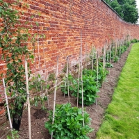 SNTV Ickworth 2019-06-23 18