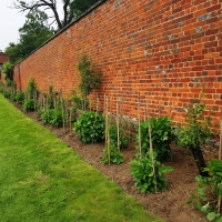 SNTV Ickworth 2019-06-23 19