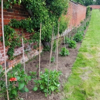 SNTV Ickworth 2019-06-23 20
