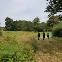 SNTV Danbury Common 2019-08-04 02