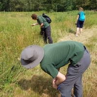 SNTV Danbury Common 2019-08-04 03