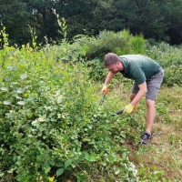 SNTV Danbury Common 2019-08-04 05