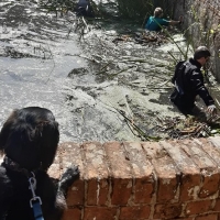 70168751_2437226753037843_7546460716794904576_n