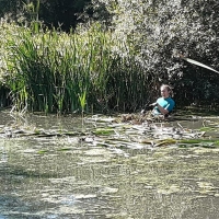 70392291_2437228249704360_629944687255355392_o