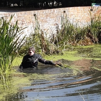 70420814_2437224813038037_7510133574167691264_o