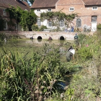 70443811_2437225913037927_3909161606549864448_o