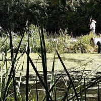 70554592_2437224676371384_373618934496100352_o