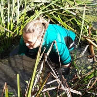 70598903_2437225079704677_4436889422234910720_o