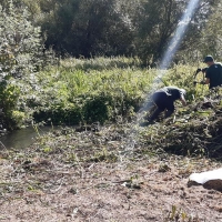 70705475_2437227353037783_8528845476852662272_o