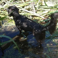 70853316_2437226426371209_7206396162759196672_o