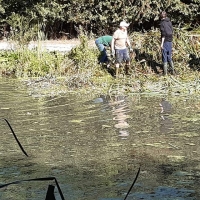 71032687_2437228683037650_8717667031052189696_o