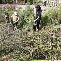 71221398_10206234293811545_6715973720042635264_n