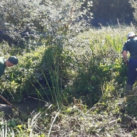 71503351_2437224319704753_4316840512171540480_o