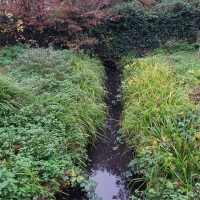 SNTV Task Bourne Mill 2019-11-24 02