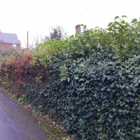 SNTV Task Bourne Mill 2019-11-24 03